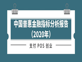 中国普惠金融指标分析报告（2020年）